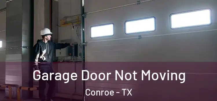  Garage Door Not Moving Conroe - TX